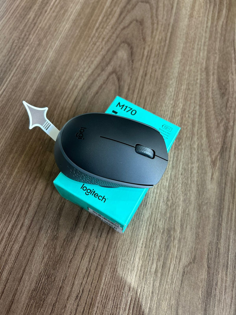 Mouse logitech M170
